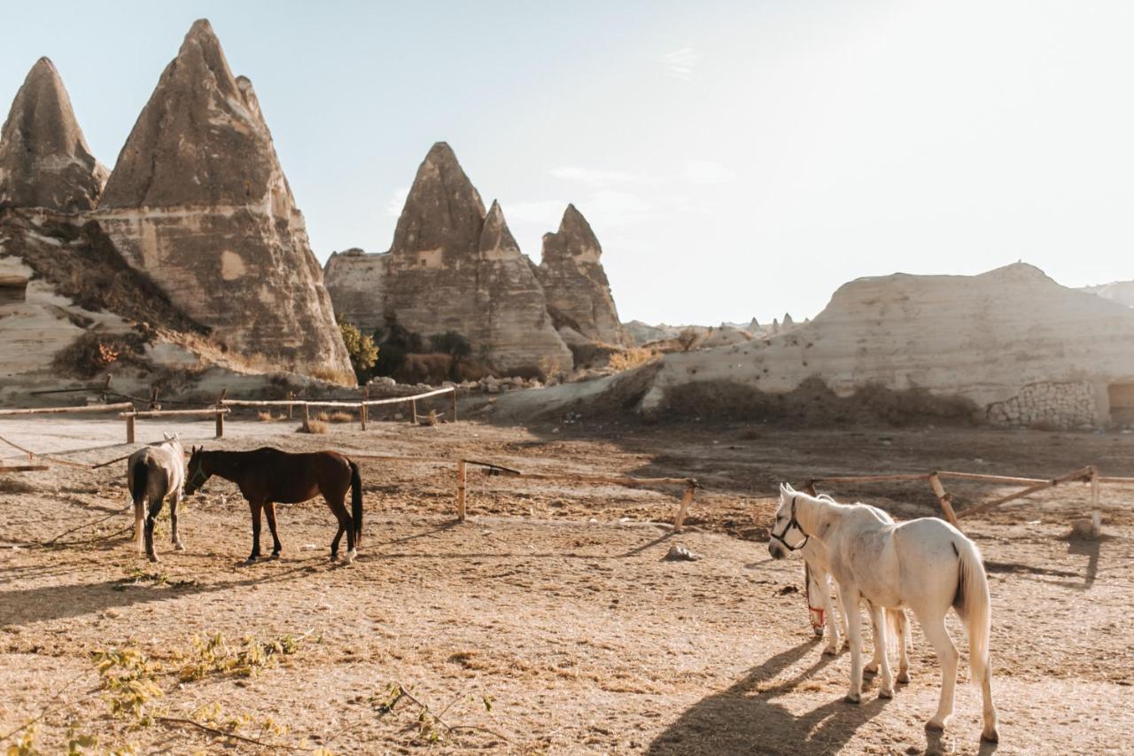 Sandik Cave Suites Nevşehir Kültér fotó