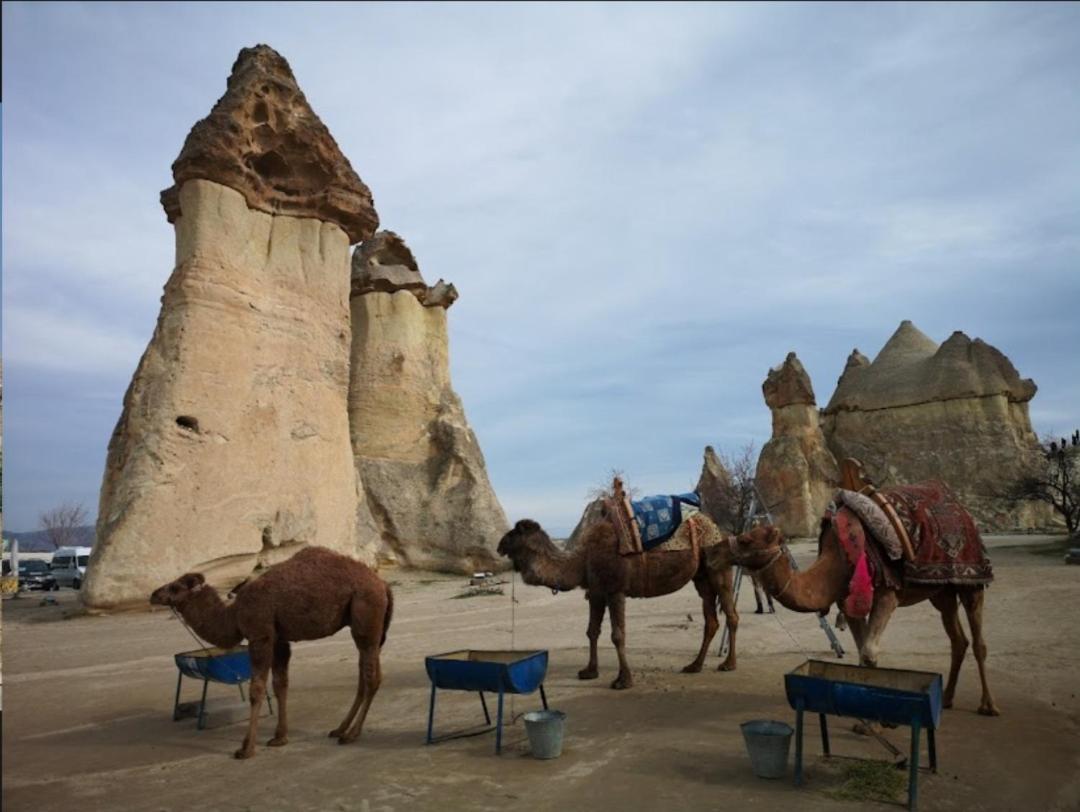 Sandik Cave Suites Nevşehir Kültér fotó